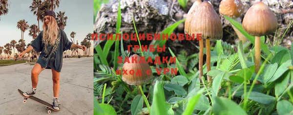 прущая мука Абинск