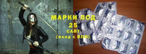 прущие грибы Алзамай