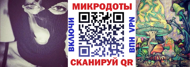 Псилоцибиновые грибы Psilocybe  купить  цена  Судогда 